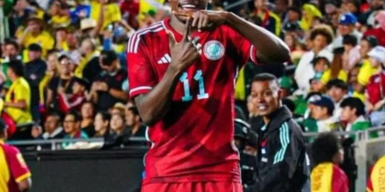 Fotografía: Publicidad